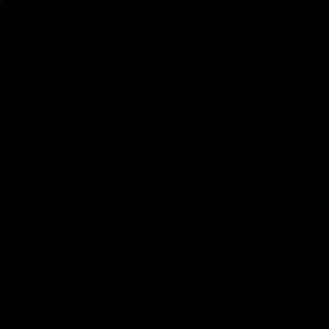 Meet your Posher, Jada